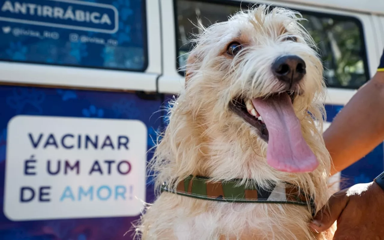 Zona Oeste recebe última etapa da campanha de vacinação antirrábica