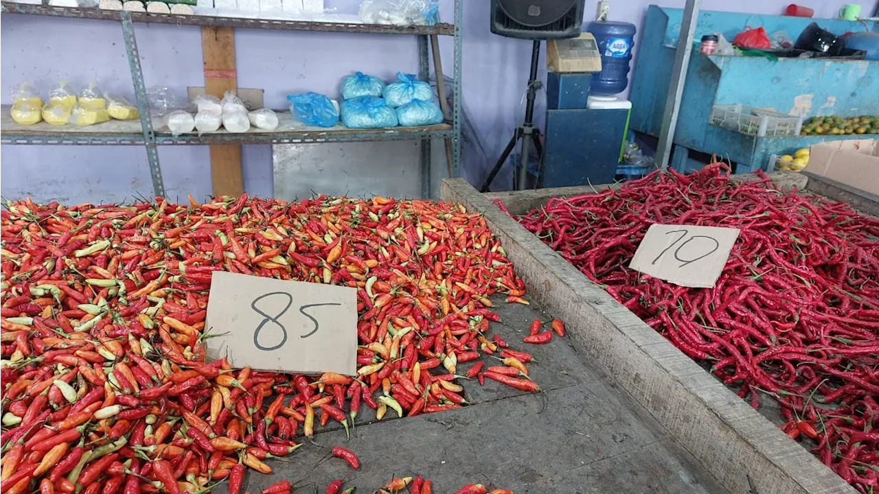 Harga Cabai Makin Pedas, Tembus Rp 90 Ribu Per Kilogram