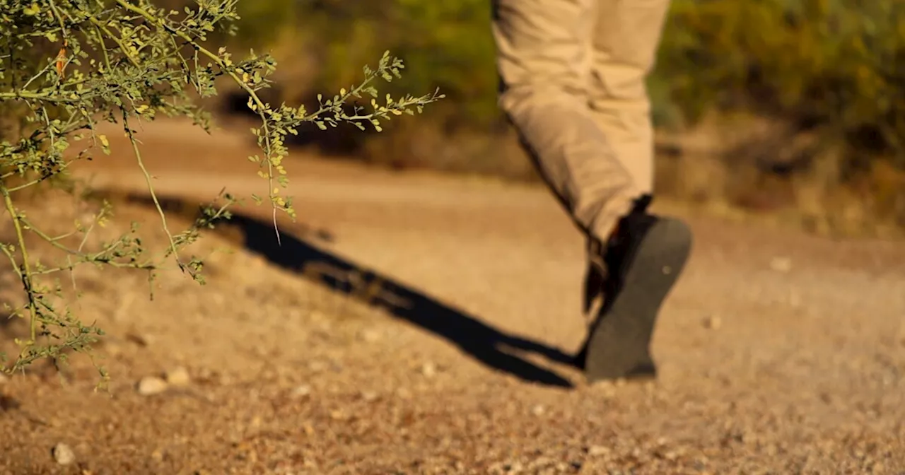 Vistoso Trails Nature Preserve encompasses Oro Valley slogan: It's in our nature