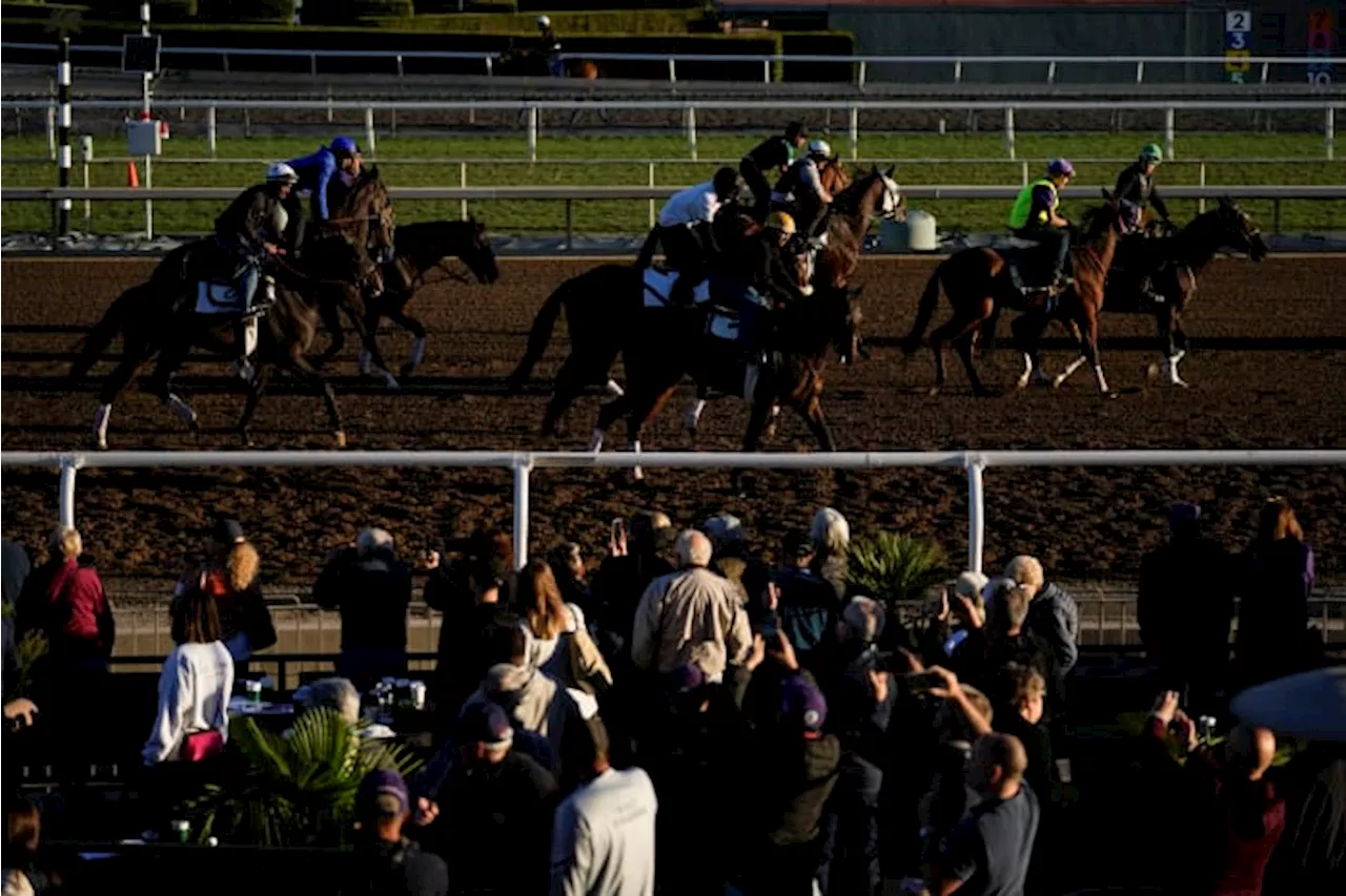 Baffert and Pletcher take aim at Breeders' Cup Juvenile with 3 horses each