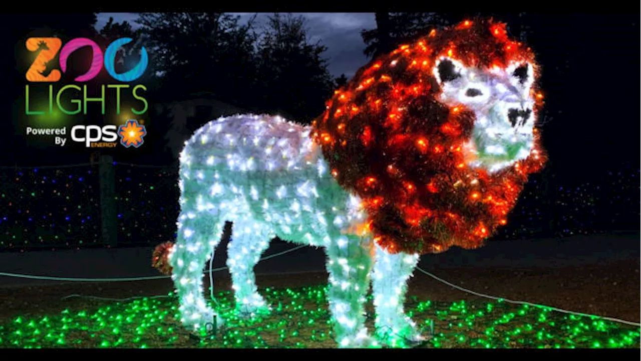 Zoo Lights nominated for USA Today Readers’ Choice Award; you can vote until Nov. 29