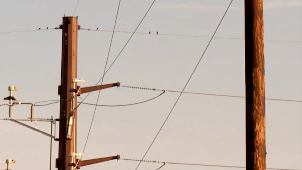 Two men injured by electric shock while working on Salt Lake County power lines