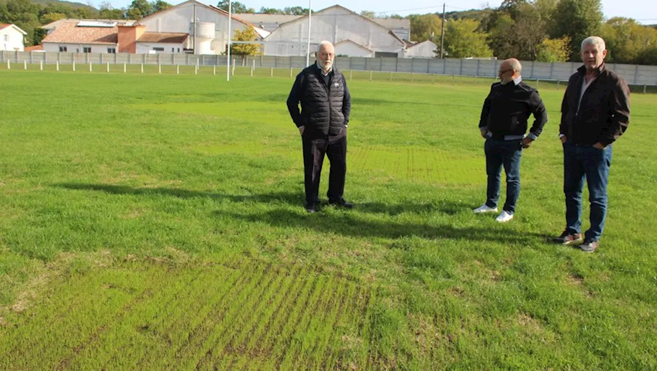 Lavelanet. Pelouse du stade Paul-Bergère : gazon maudit…