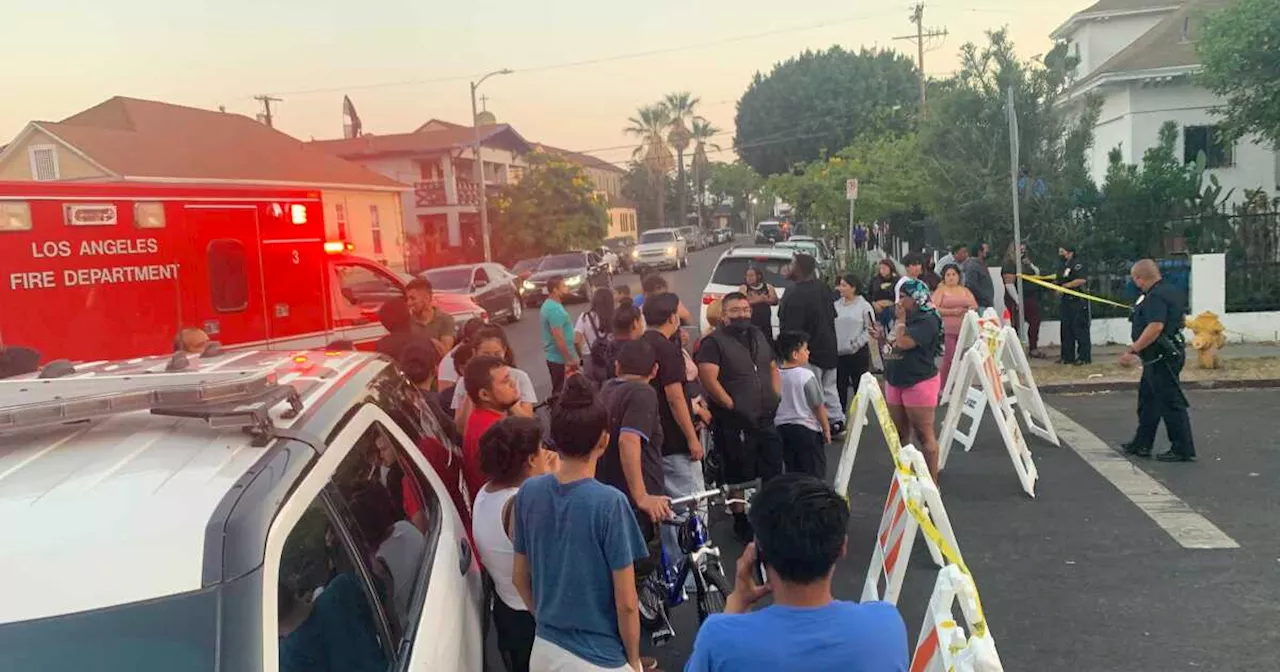 LAPD Fireworks Debacle