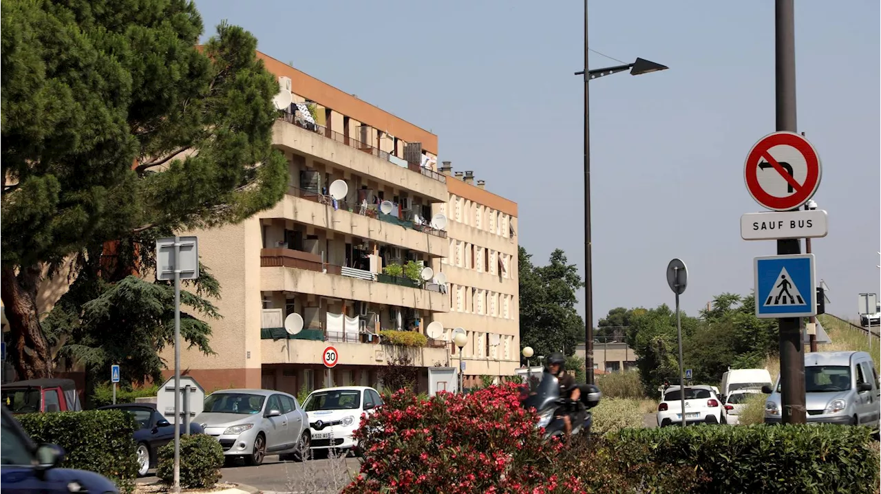 Près d'Avignon, un match de 'coupe de l'espérance' aboutit à une expédition punitive sanglante