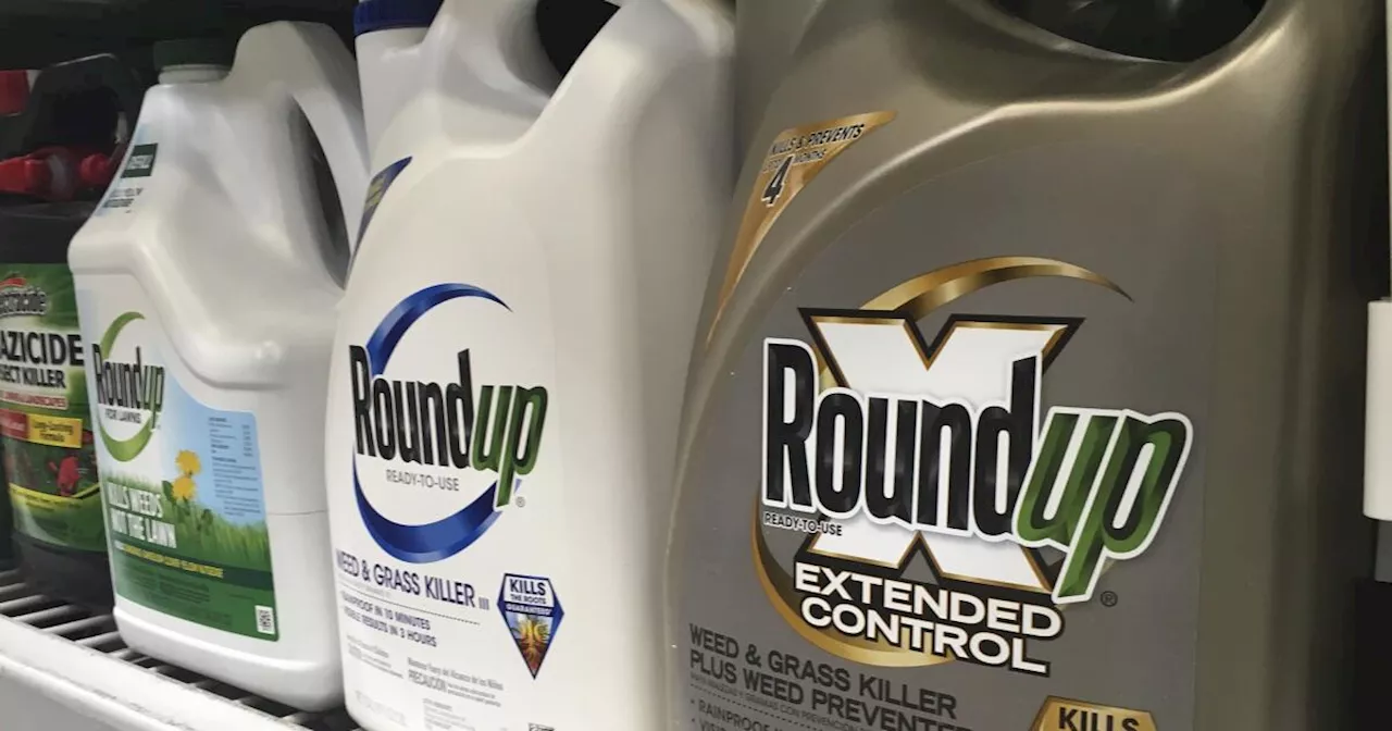 Jury awards $332 million to Carlsbad man who blamed his cancer on Roundup weedkiller