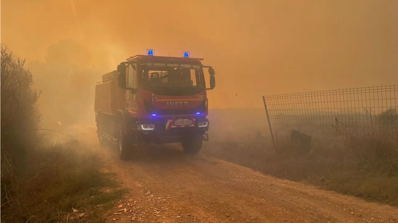 Espagne : 2 000 hectares brûlés par un feu de forêt, 800 personnes évacuées