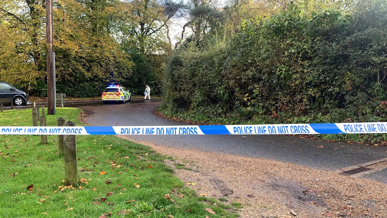 Boy dies and another child taken to hospital after car ploughs into Essex schoolchildren, as 'drink driver'...