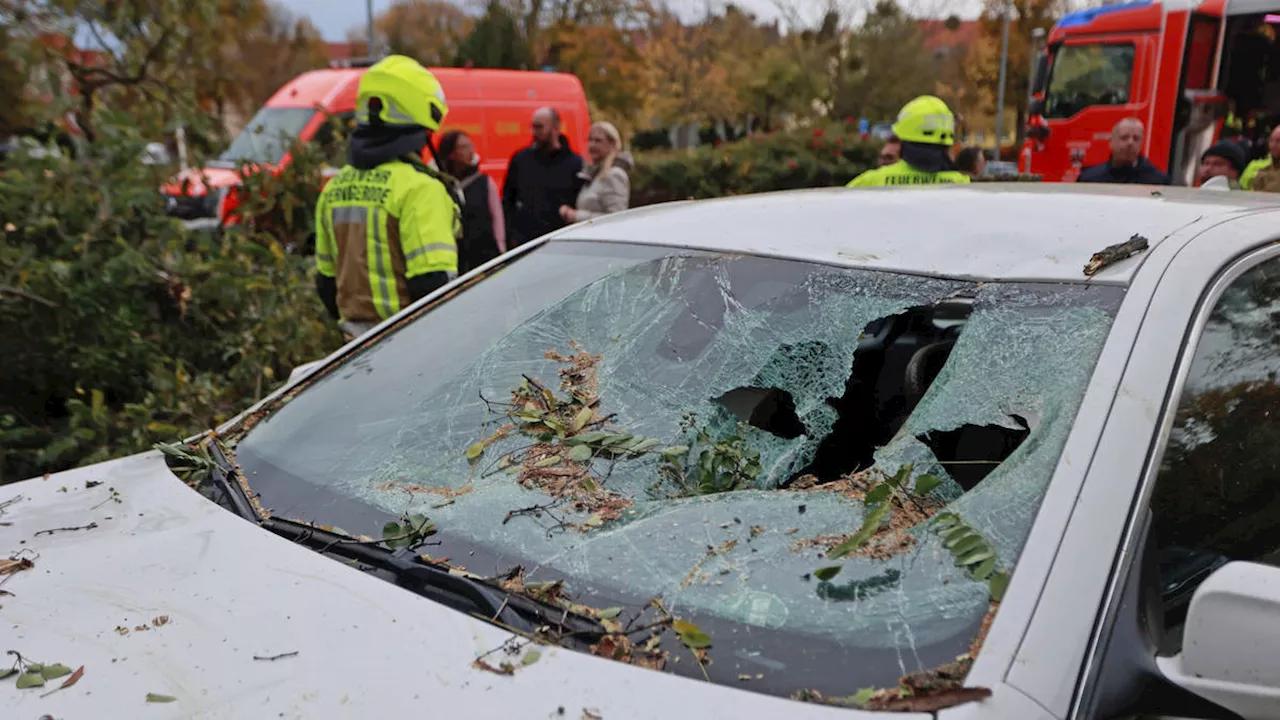 Death toll rises in Europe as Storm Ciaran arrives in Italy with record rainfall