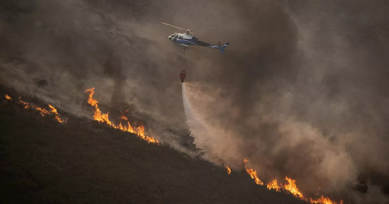 Espagne : un feu de forêt attisé par les vents violents conduit à l’évacuation de 800 personnes