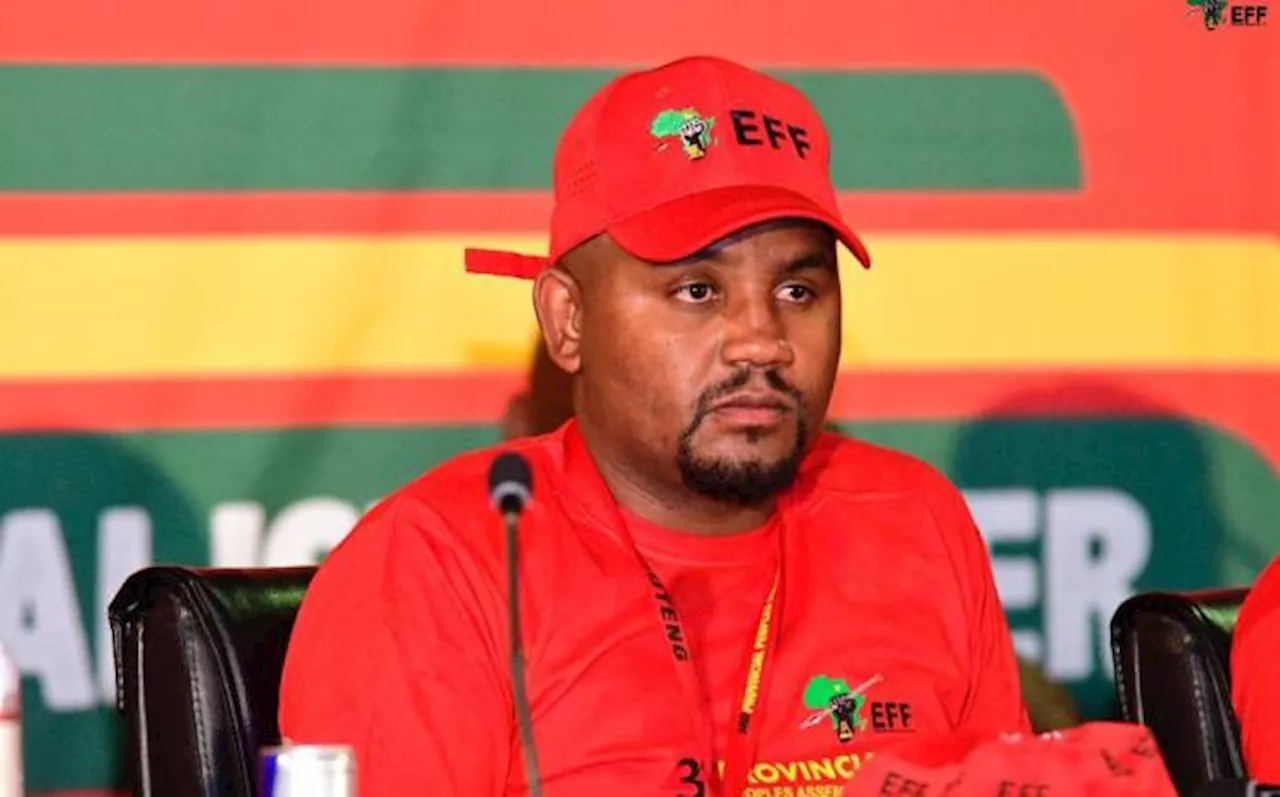 ANC trying to bring EFF down in Ekurhuleni, Nkululeko Dunga alleges