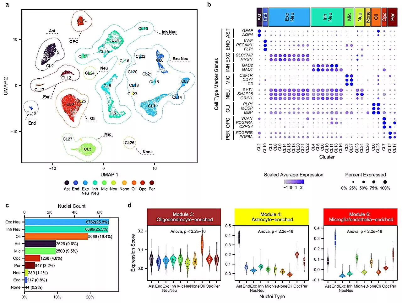 Researchers discover new molecular drug targets for progressive neurological disorder