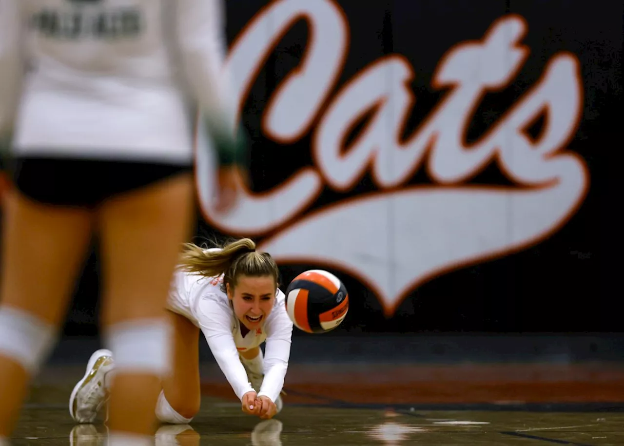 Prep roundup: Los Gatos edges Branham in a thriller to reach CCS D-I volleyball final