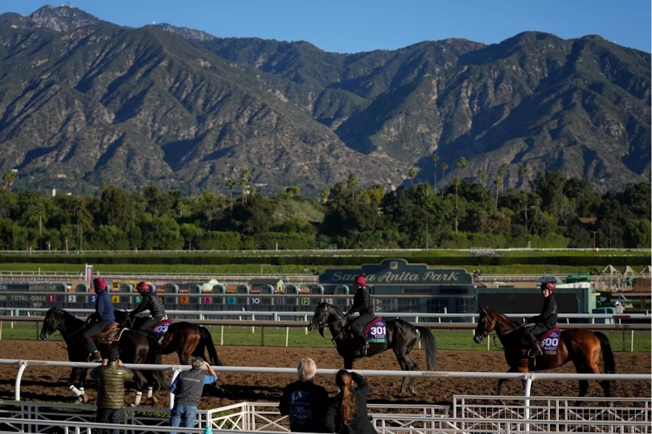 Spate of racehorse deaths this year has Breeders’ Cup, Santa Anita under intense scrutiny