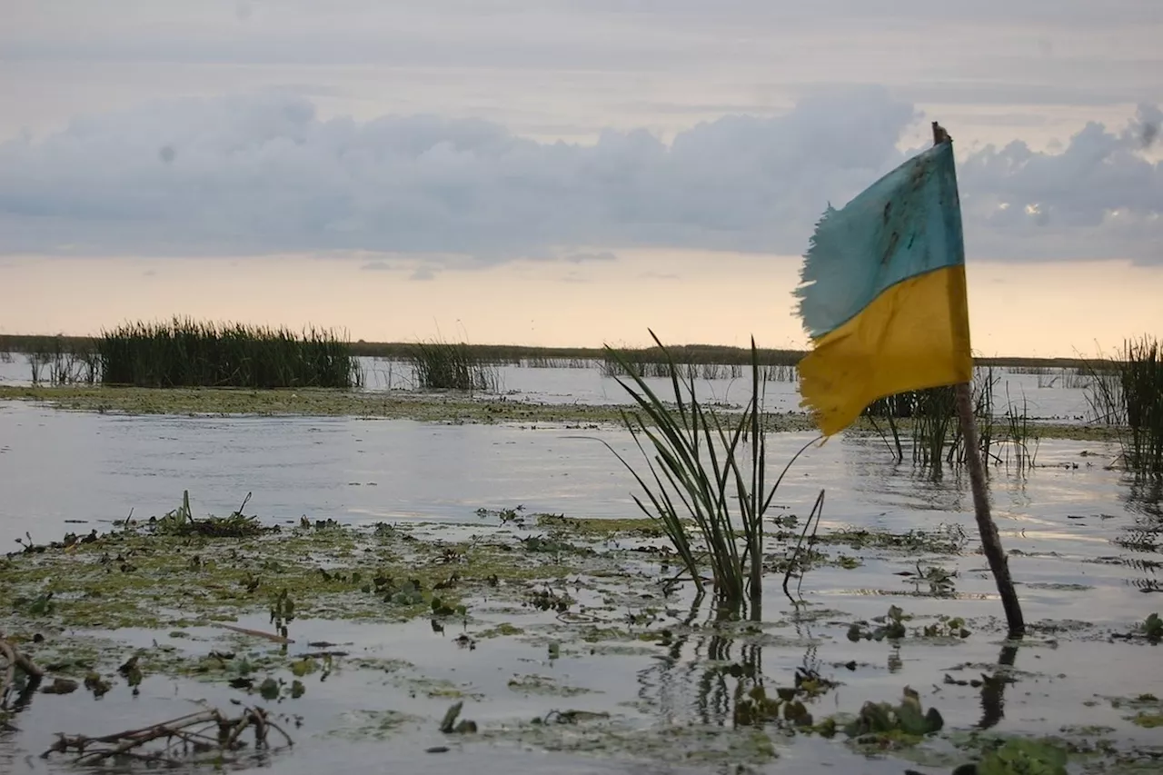 В Киеве признали неспособность вести боевые действия без поддержки Запада