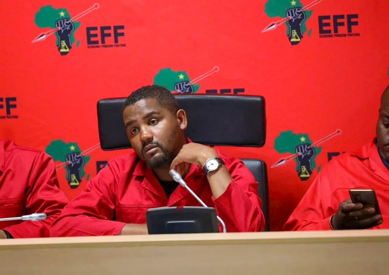 EFF Gauteng leader and MMC for Finance Nkululeko Dunga dismisses blue-light contravention claims