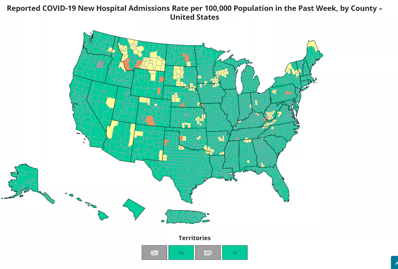 COVID Map Shows Hospitalizations Hotspots in US