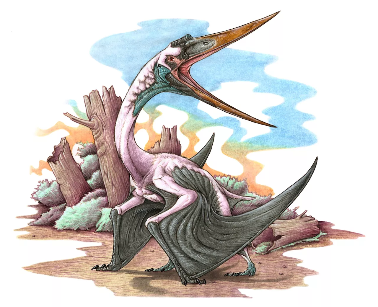 Large Flying Reptile That Ruled the Sky 100 Million Years Ago Found by Lake