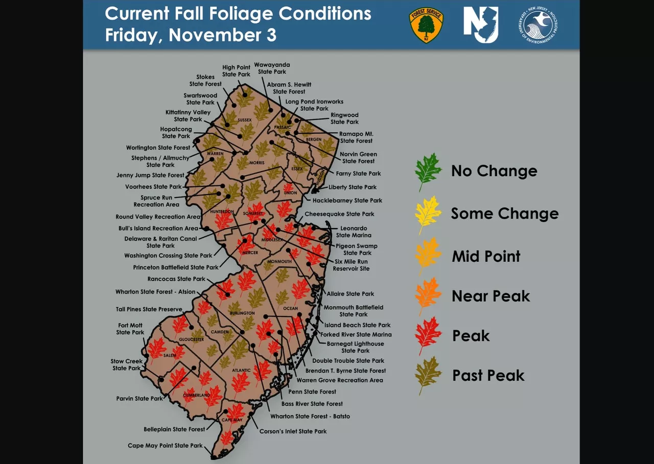 Latest N.J. fall foliage map shows peak colors in 14 counties this weekend