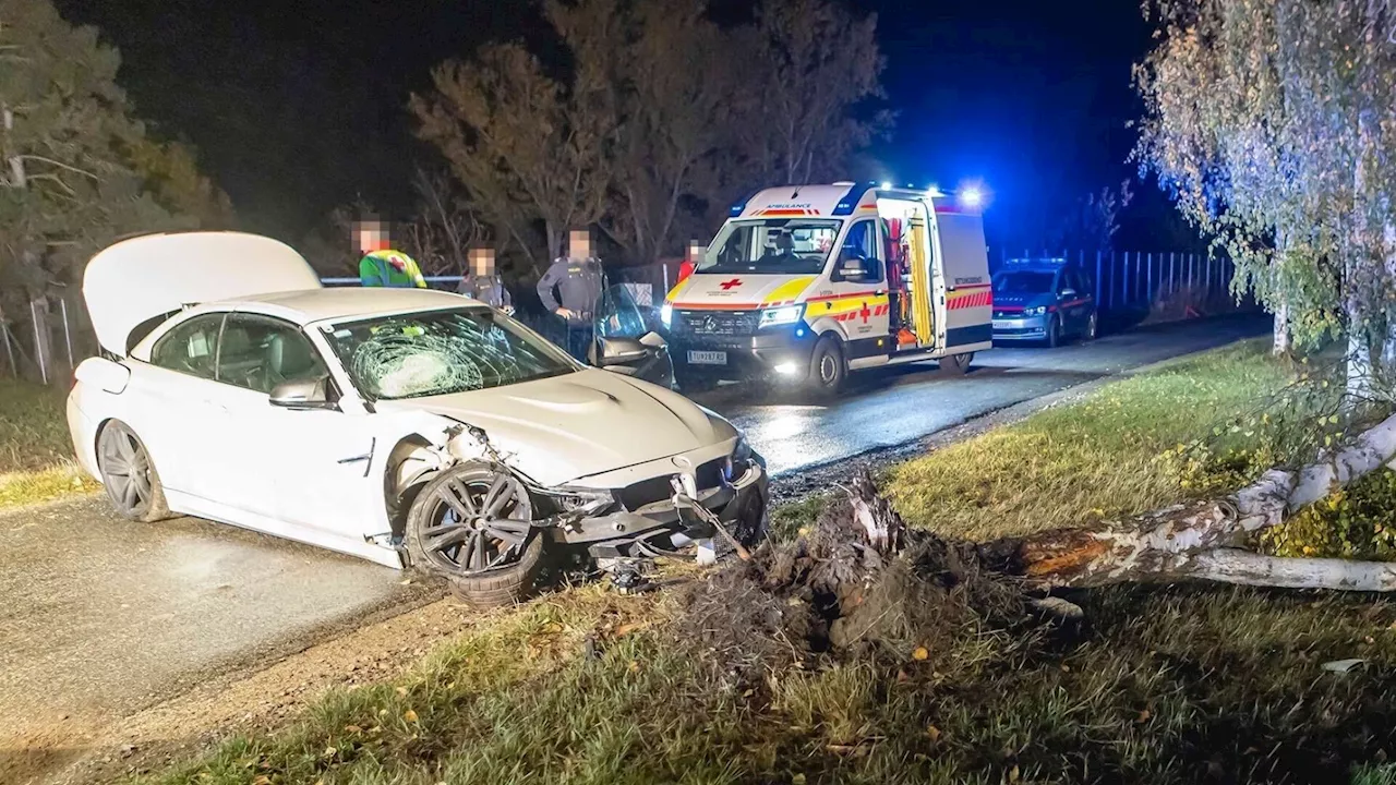 Mit Pkw gegen Baum gekracht: Lenker bei Unfall verletzt