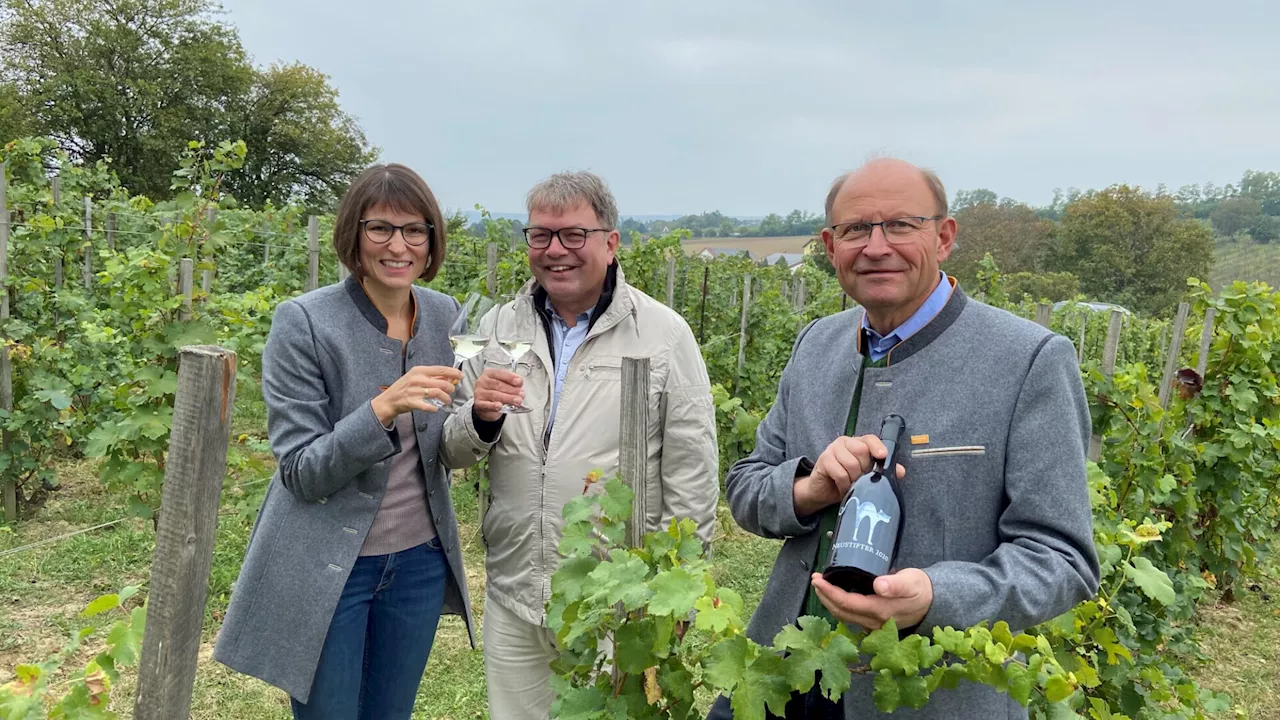 Neustifters Stockkultur: Mehr Aufwand, aber „außergewöhnlicher Wein“