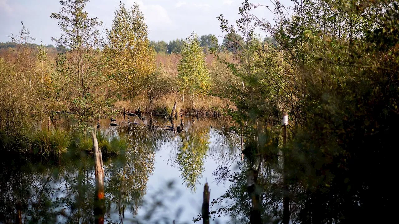 Niedersachsen & Bremen: Niedersachsen: Bedeutung der Moore für Klimaschutz stärken