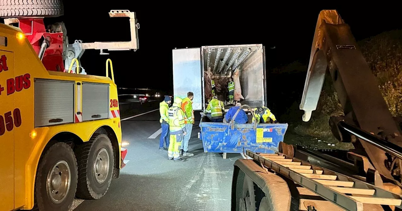 Autobahnkreuz Bielefeld: Bis in die Nacht 21 Tonnen Fleisch umgeladen