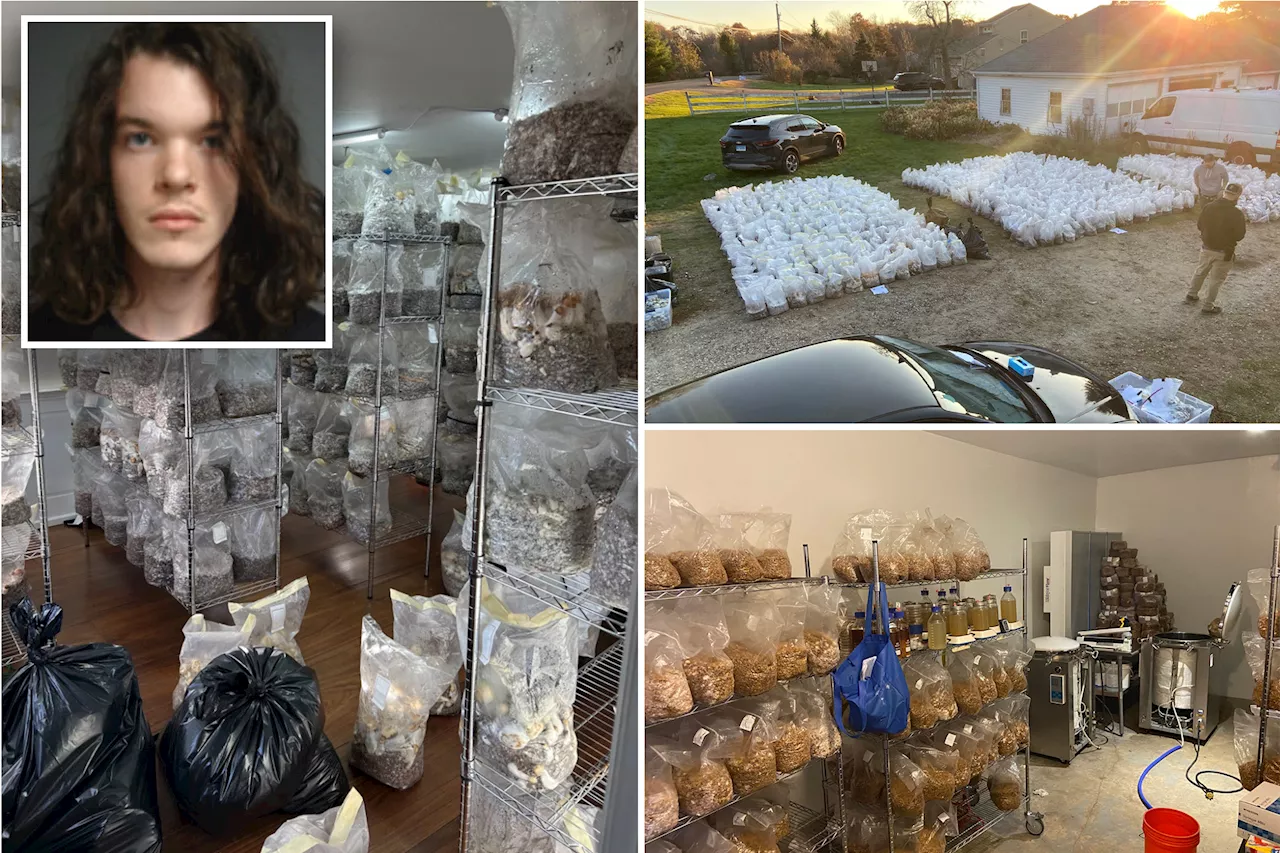 Conn. man, 21, arrested after $8.5M worth of psychedelic mushrooms found in home 'drug factory'