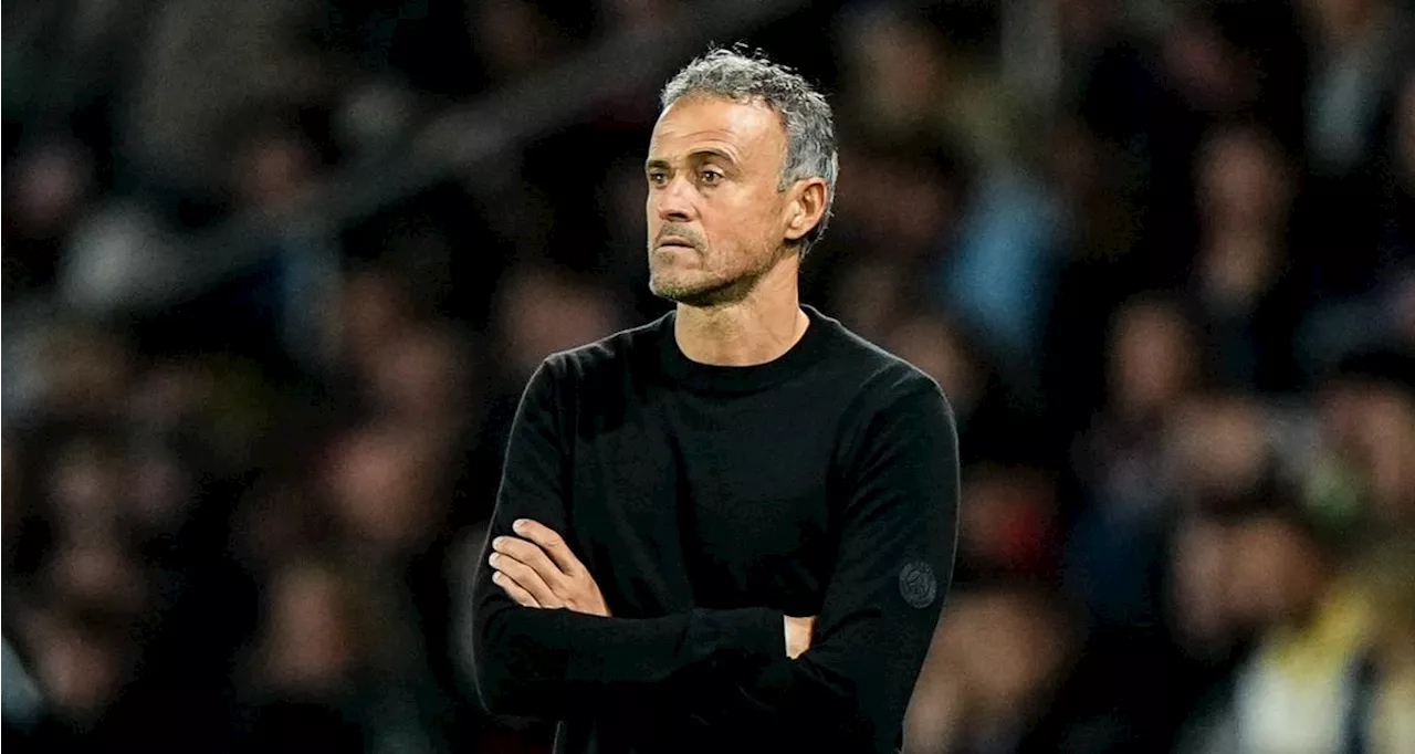 PSG : Luis Enrique sous le charme d'une recrue, deux anciens Parisiens le comprennent