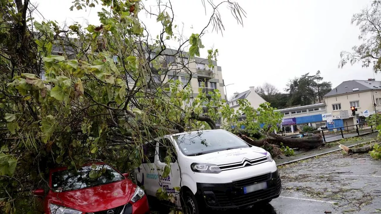 Racontez-nous comment vous avez vécu le passage de la tempête Ciaran dans la Manche