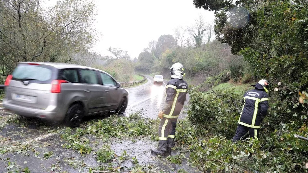 Tempête Ciaran dans la Manche : encore 73 000 foyers sans électricité ce vendredi matin