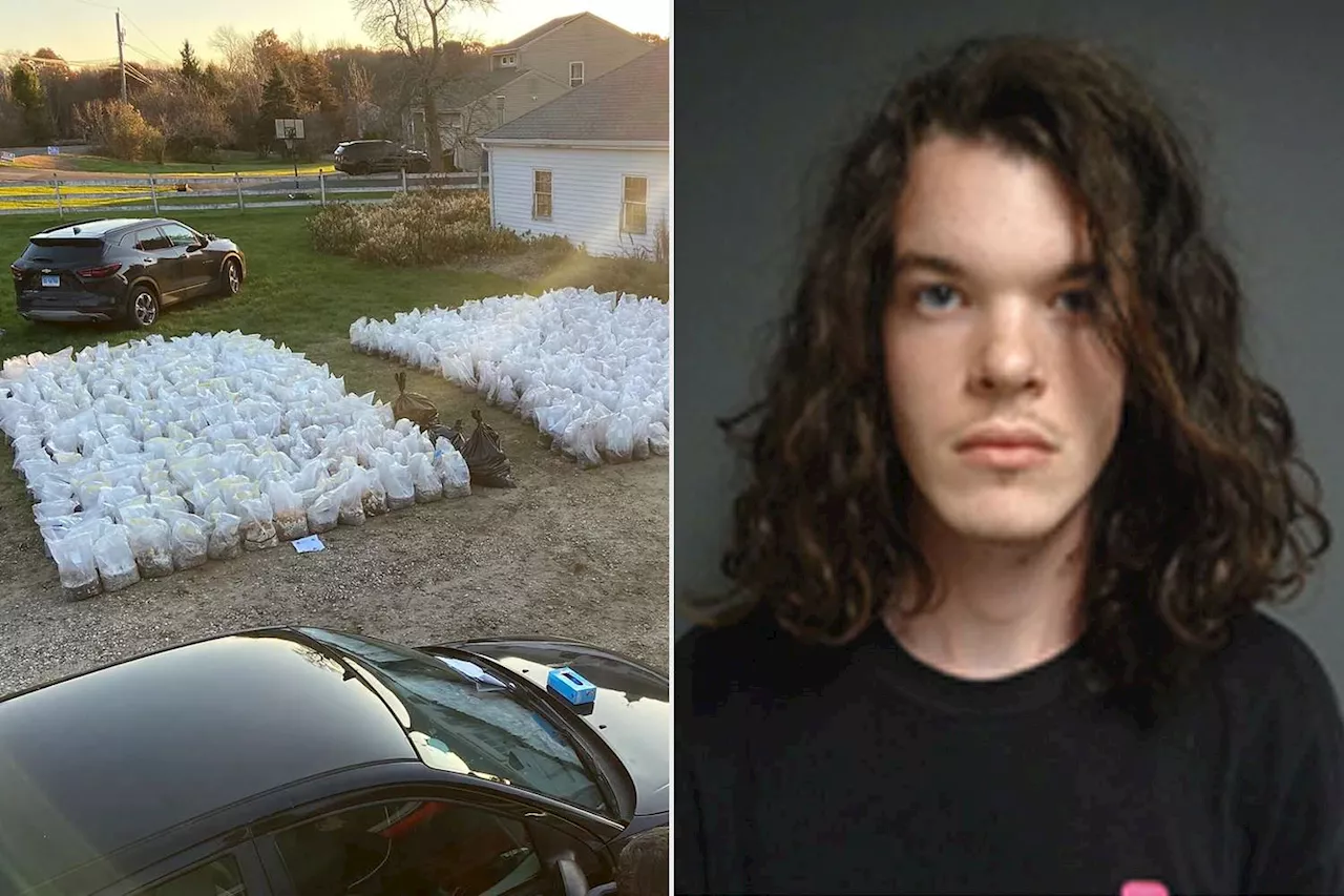 Conn. Man Allegedly Ran $8.5 Million Mushroom Factory Out of Home: Police