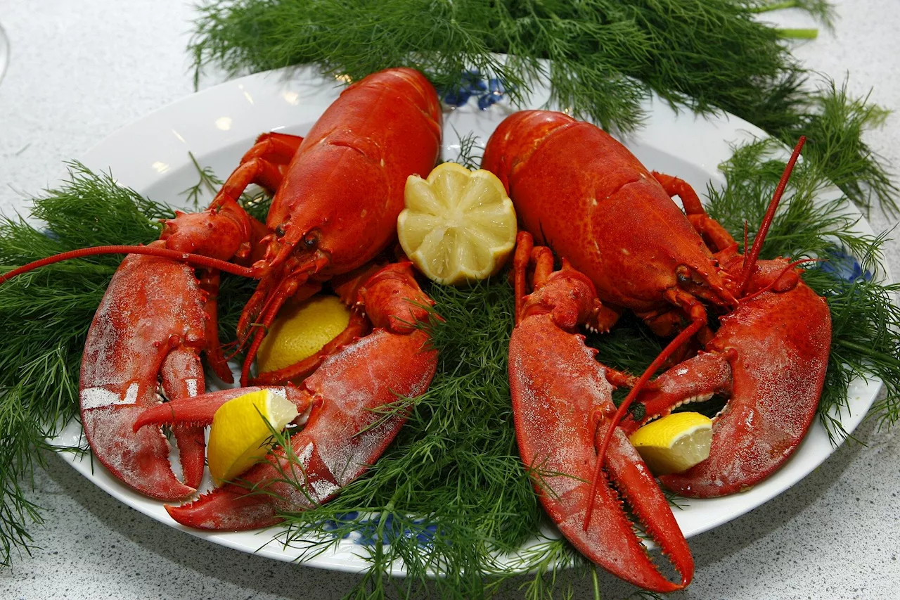 Chicken broth and lobster among 3,000 dishes served to King George III