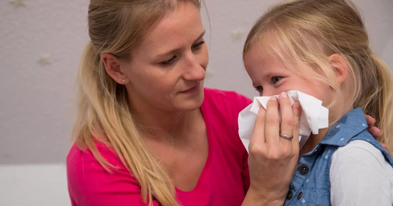 Wie Sie mit einfachen Tipps eine Erkältung loswerden