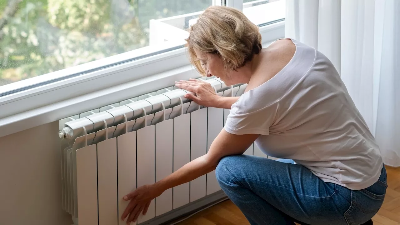 Precio luz, sábado 4 de noviembre: cuál es la hora más barata