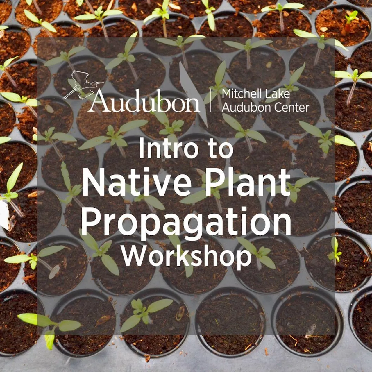 Intro to Native Plant Propagation Workshop
