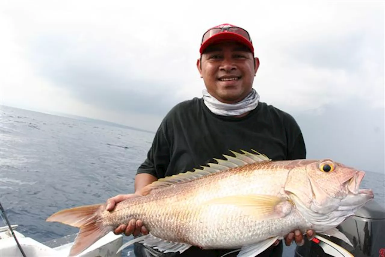 Key Indonesian fish populations depleted & new assessments needed, study shows