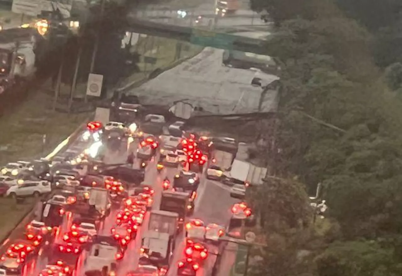 Temporal em São Paulo derruba árvores, suspende voos e provoca morte