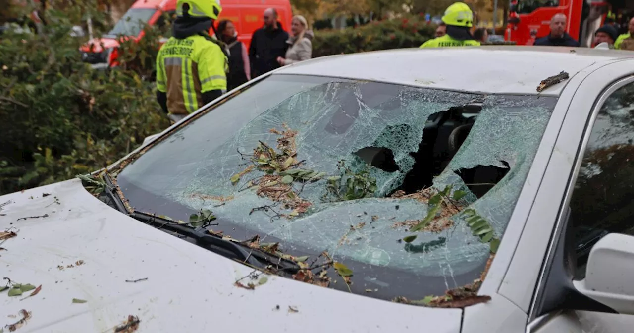 Suben a 10 los muertos por la tormenta Ciarán, que deja lluvias récord en Italia