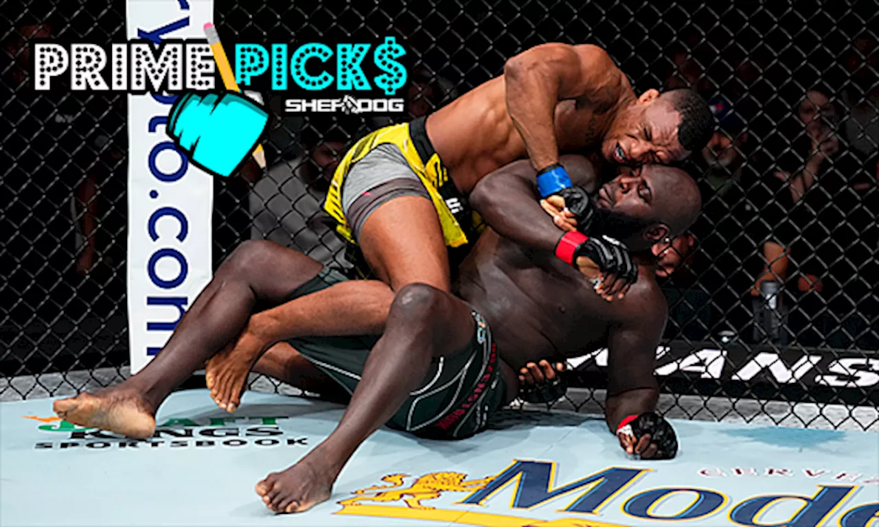 Prime Picks: UFC Fight Night 231 ‘Almeida vs. Lewis’