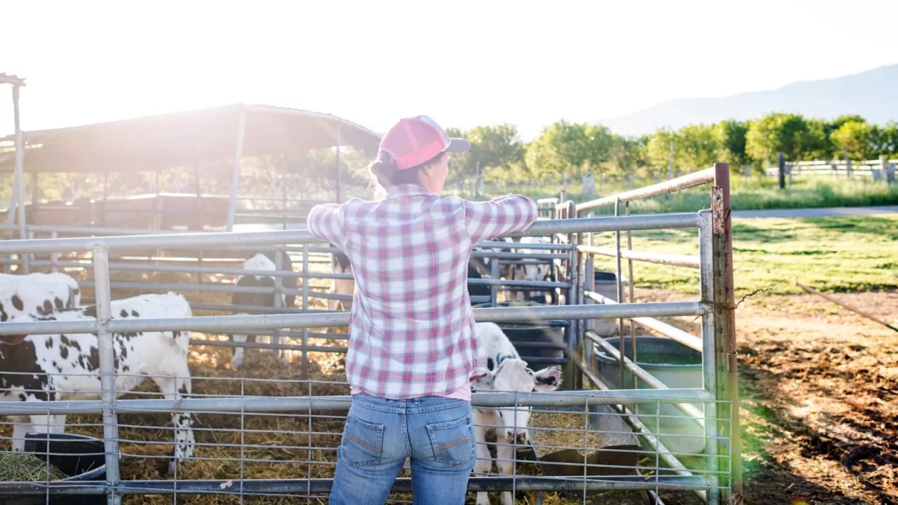 Steve Price predicts ‘biggest battle’ ever between Australian farmers and the government