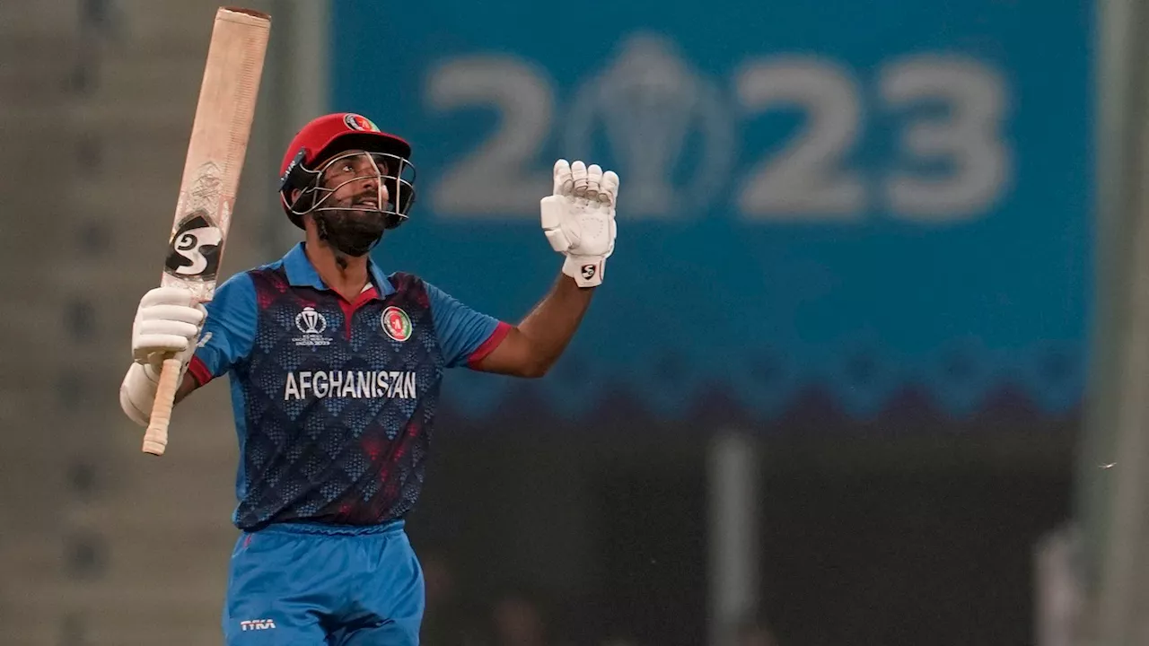 Cricket World Cup: Afghanistan continue dream campaign with victory over Netherlands