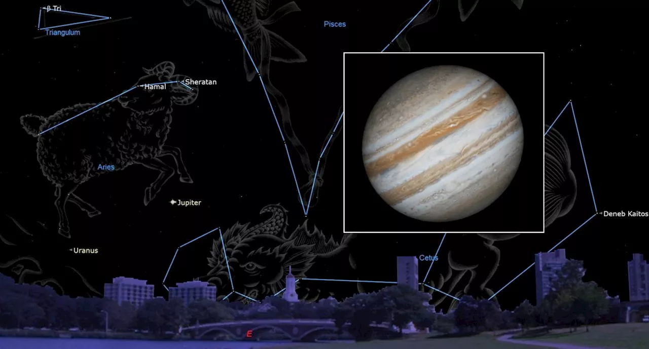 See Jupiter shine bright during the Taurid meteor shower tonight