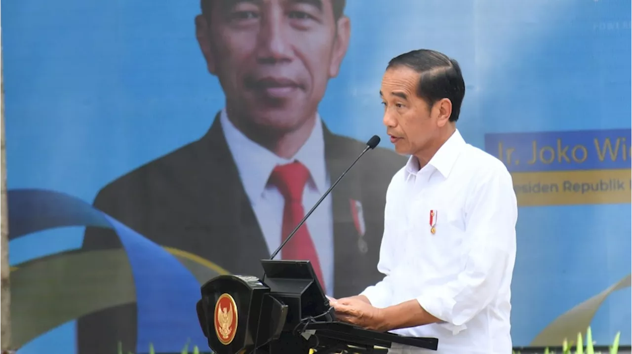 Di Depan 100 CEO, Jokowi Singgung Tiga Periode Presiden Jadi Kunci RI Menuju Negara Maju