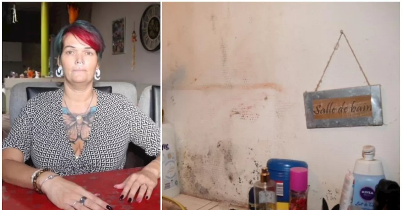Ludyvine et Bérangère n’en peuvent plus : il pleut dans le logement du CPAS qu’elles occupent à Morlanwelz, «