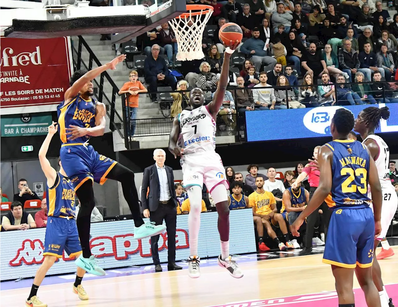 Basket-ball : Boulazac se frotte au leader invaincu