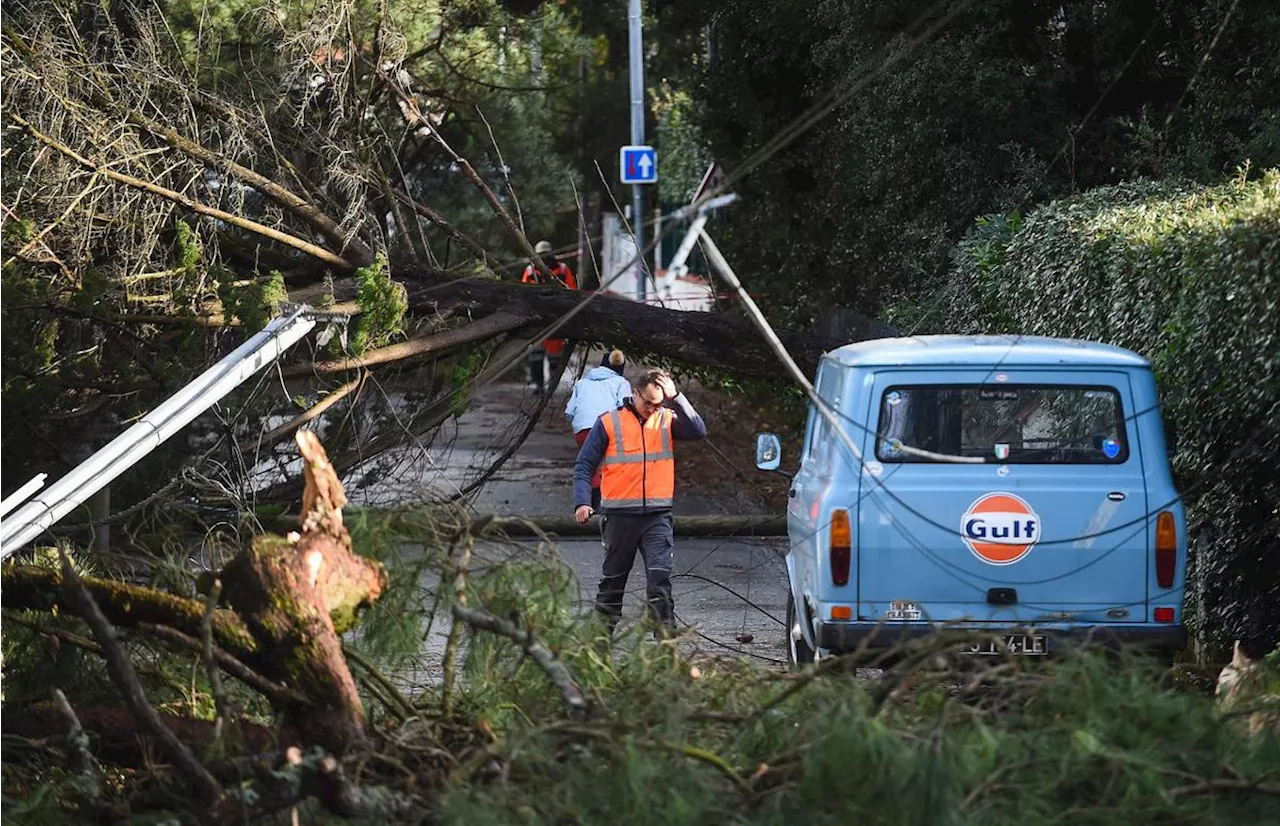 Tempête Ciaran : 520 000 foyers toujours sans électricité, Macron en Bretagne ce vendredi