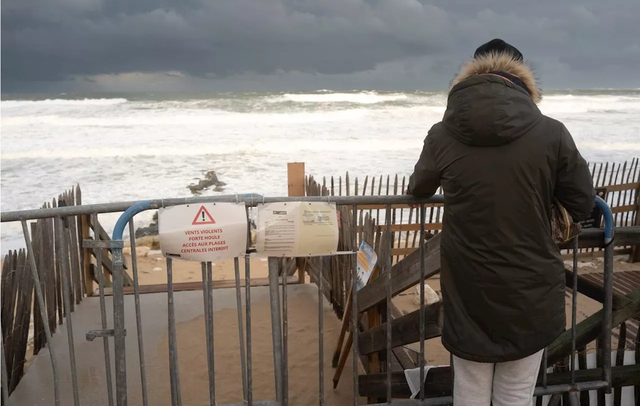 Tempête en Gironde : dans le Médoc, après le passage de Ciaran, la tempête Domingos inquiète