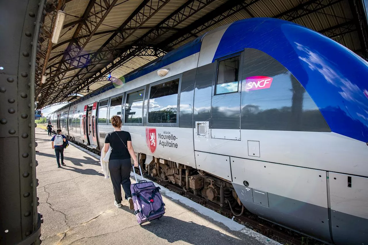 Tempêtes dans les Landes : la circulation des trains reprend progressivement