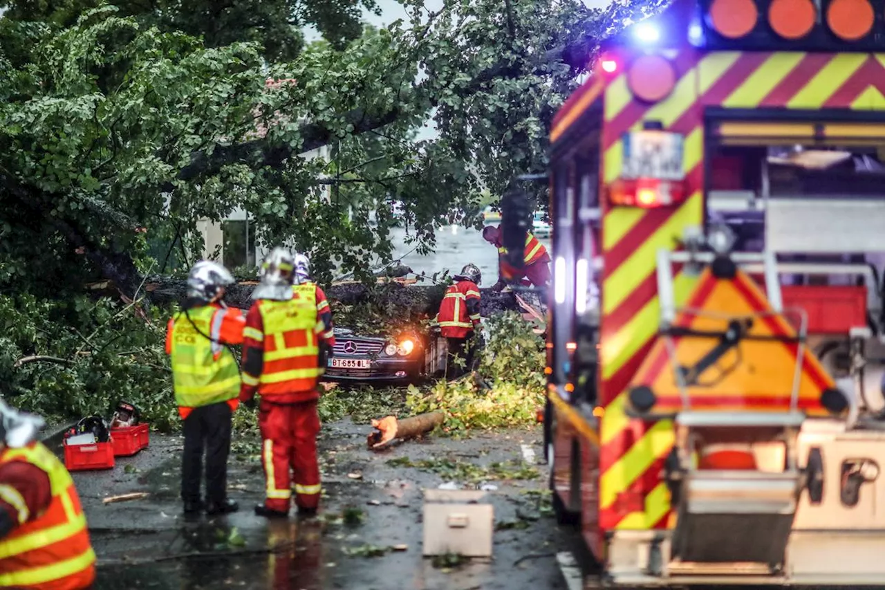 Tempêtes dans les Landes : un ouvrier forestier coincé plusieurs heures sous un arbre